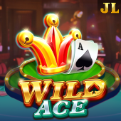 Wild Ace PT Gaming APK slot